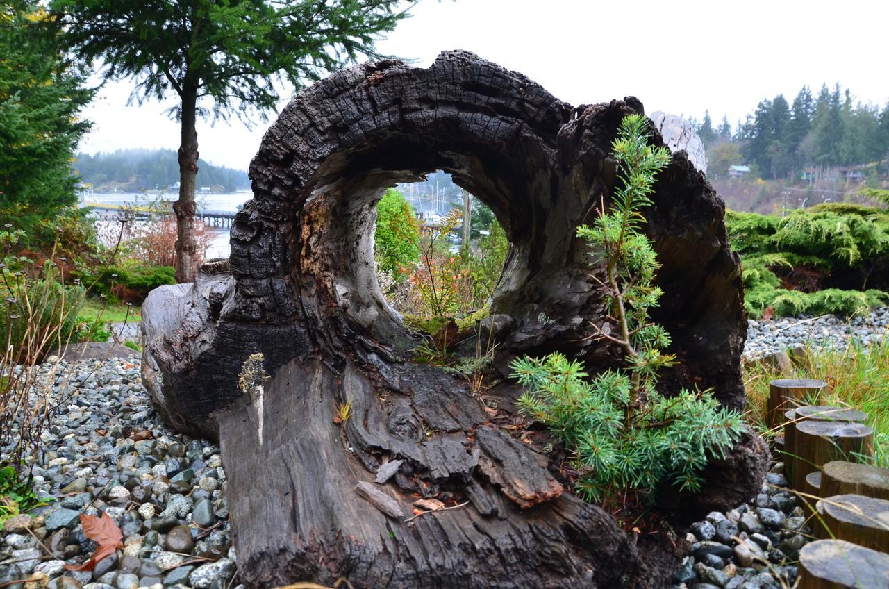 High Point Resort Quathiaski Cove Luaran gambar